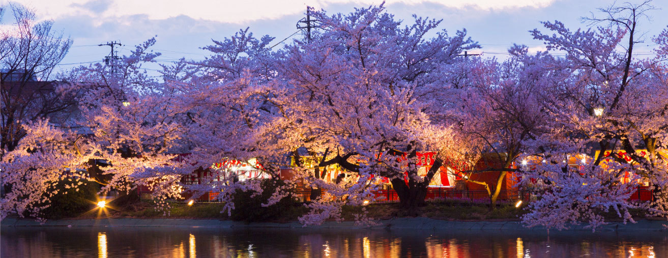 臥竜公園の夜景