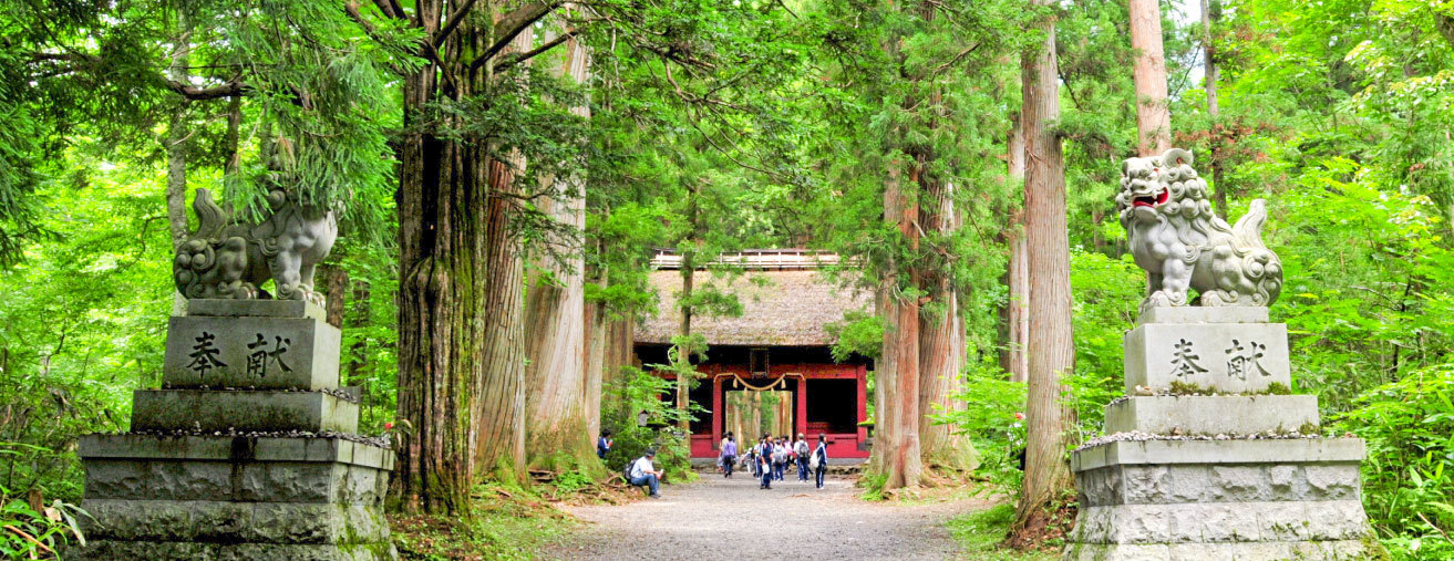 戸隠神社　奥社の参道