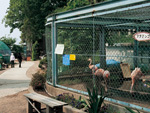 須坂市動物園