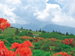 五味池破風高原自然園